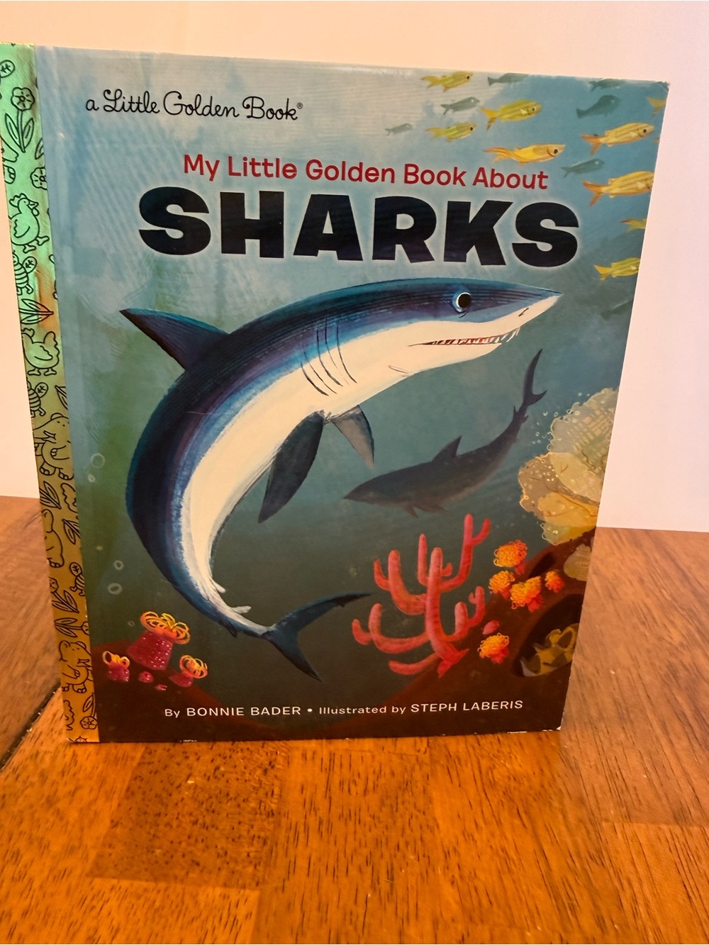Little Golden Book Sharks